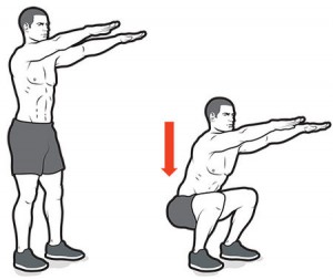 Technique du squat