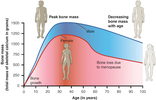 Masse osseuse homme femme suivant l'age